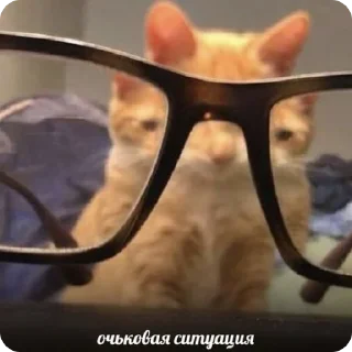 🧐