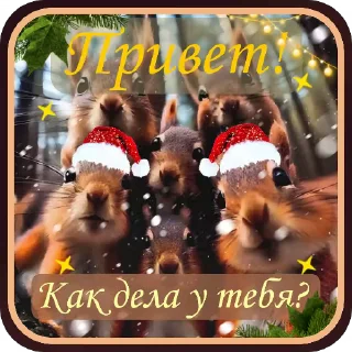 🎄
