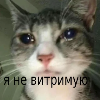 😭