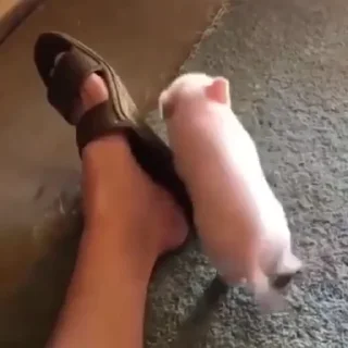 🔥