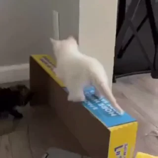 🥺