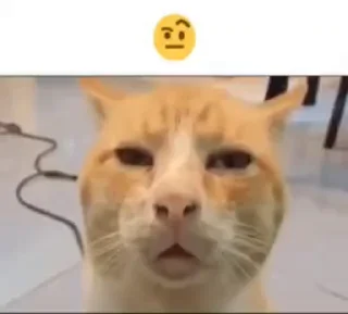 🤨