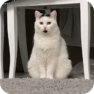 😮