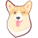 🐶