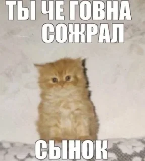 👊