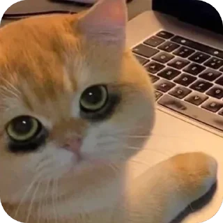 🥱