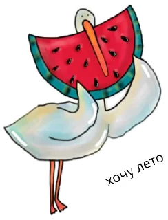 🍉