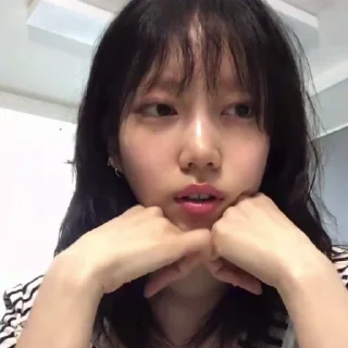 🦨
