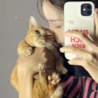 😍