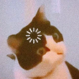 🐈