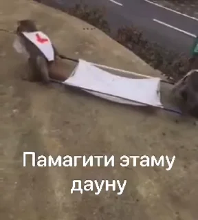🤩