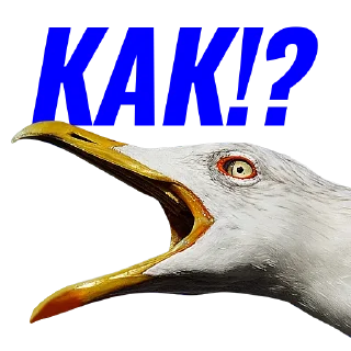 😮