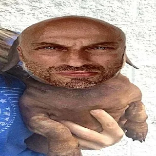 🐶
