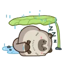 💤