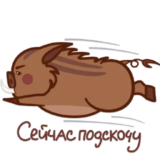 🐗