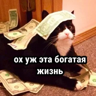 💲
