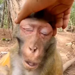 😏