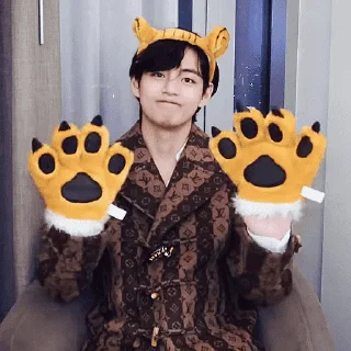 🐯