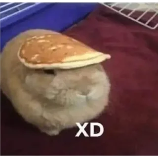 🐹