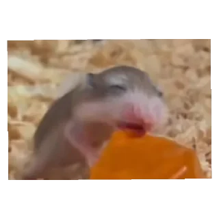 😝