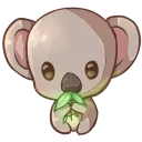 🐨
