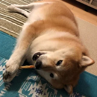 🍛