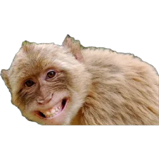 😁