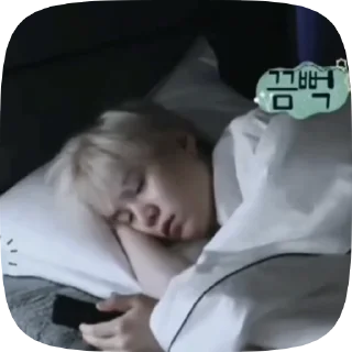 🛏