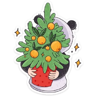 🍊