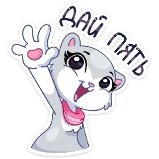 ✋️