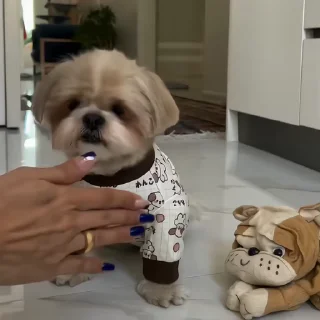 🐶