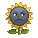 🌻