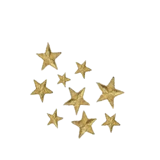 ✨