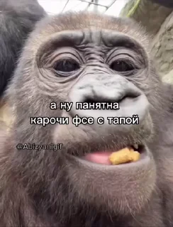 🤩