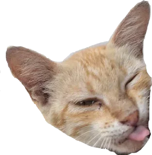 👅