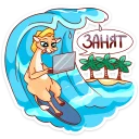 💻