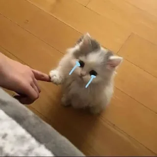 😢