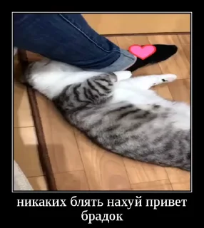😢