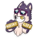 😎