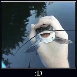 🐟