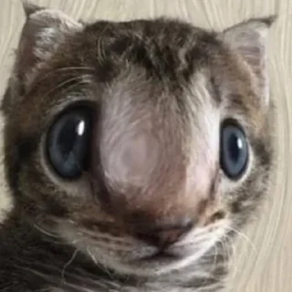 😳