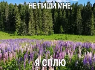 🧂