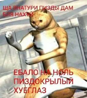 🥺
