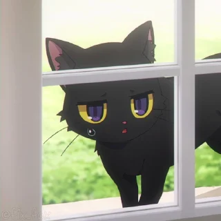 😮‍💨