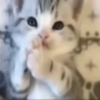 🙏
