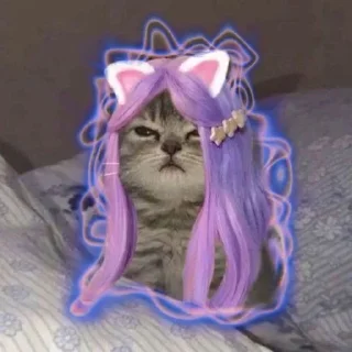 😺