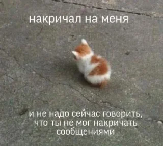🤍