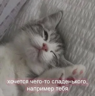 🍭