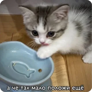 🥴