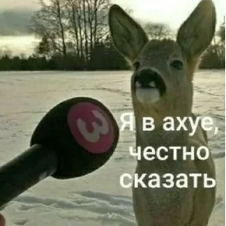 😳